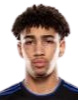 https://img.zergk.com/img/football/player/fb7fd3390bdc25307ce54843fe6472dd.png