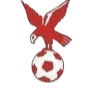 https://img.zergk.com/img/football/team/4802d26df935b78bb2fcdbbff36e8864.png